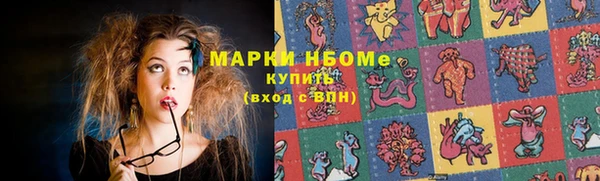 стаф Вяземский