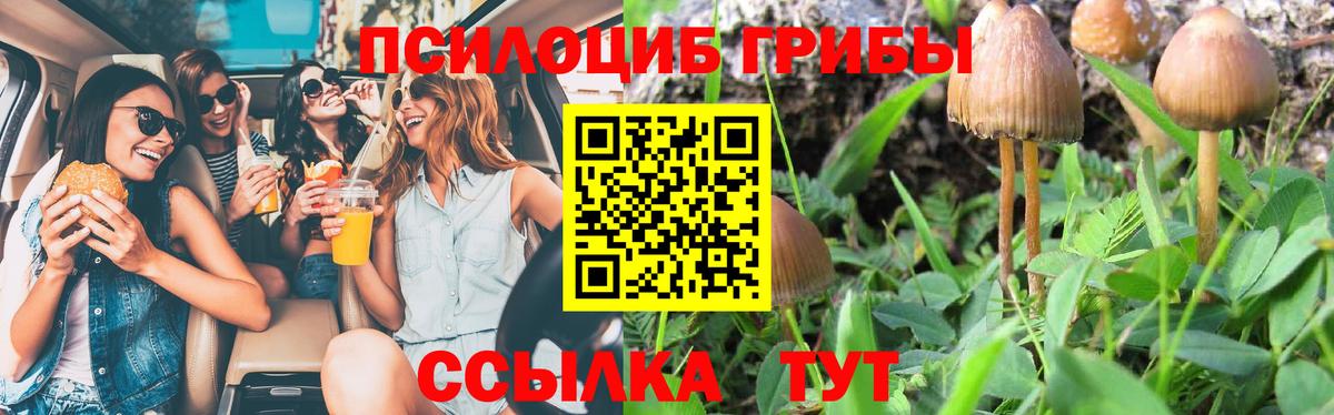 Галлюциногенные грибы Psilocybine cubensis  Вход с VPN  Лабинск 
